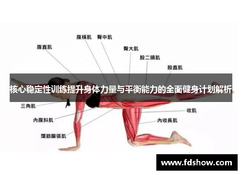 核心稳定性训练提升身体力量与平衡能力的全面健身计划解析