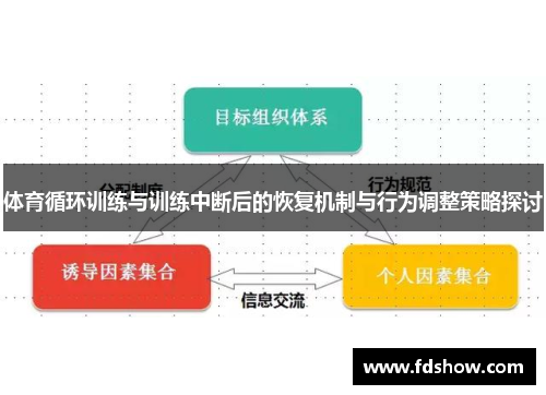 体育循环训练与训练中断后的恢复机制与行为调整策略探讨